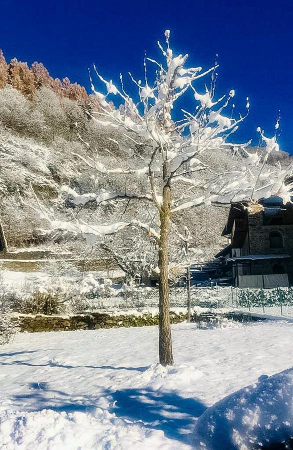 B&B Villa Paradiso Mezzana  Dış mekan fotoğraf